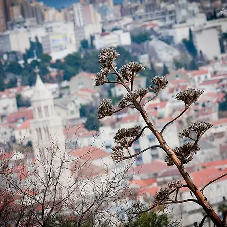 شقة Genius Loci *