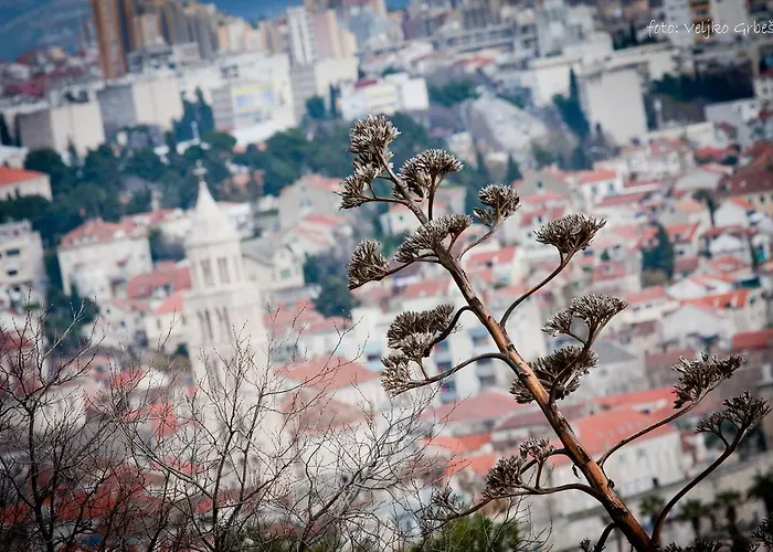 דירה Genius Loci *